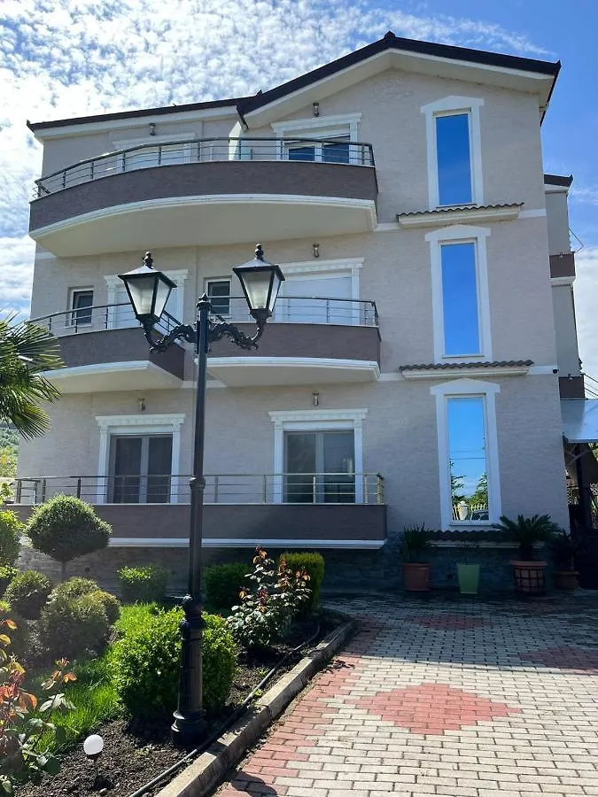 Vila Gregor Tushemisht Πανσιόν